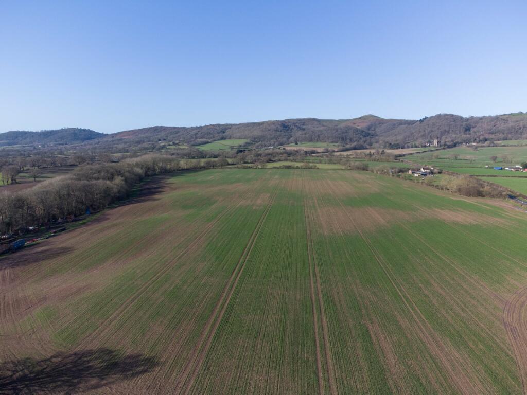Land