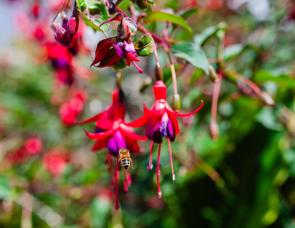 Award-winning Media team on EVERY Listing_29