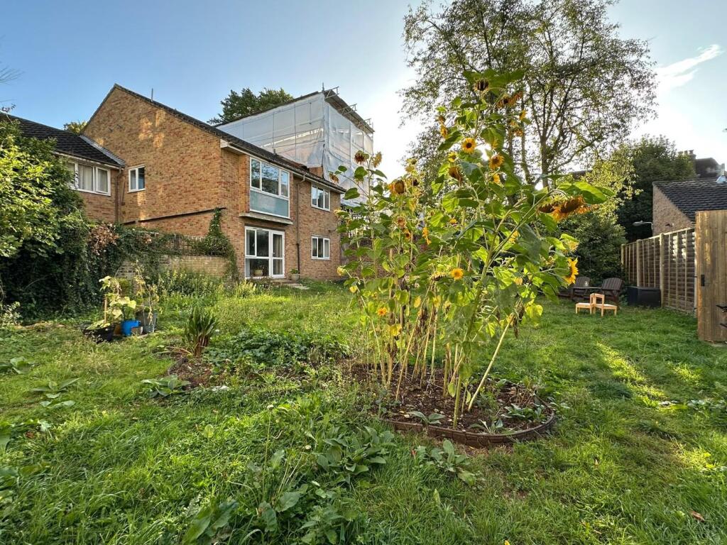 Communal Garden