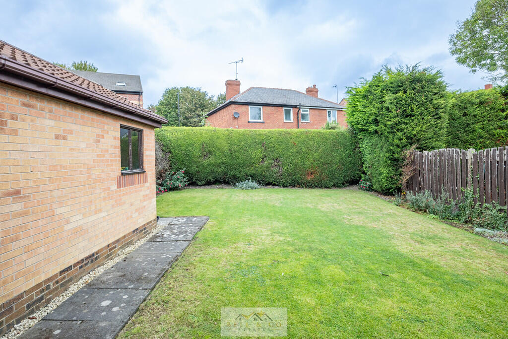 Back garden 1.1
