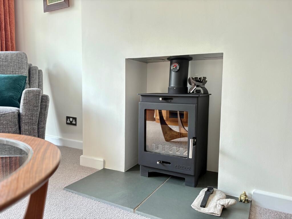 wood burning stove