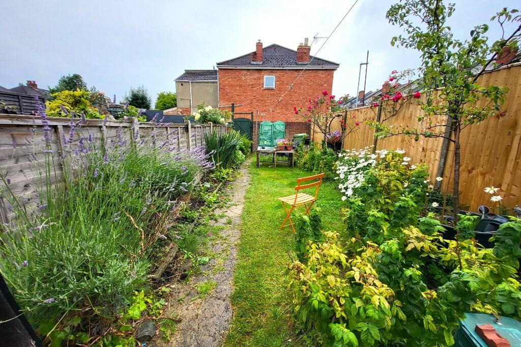 South Facing Garden
