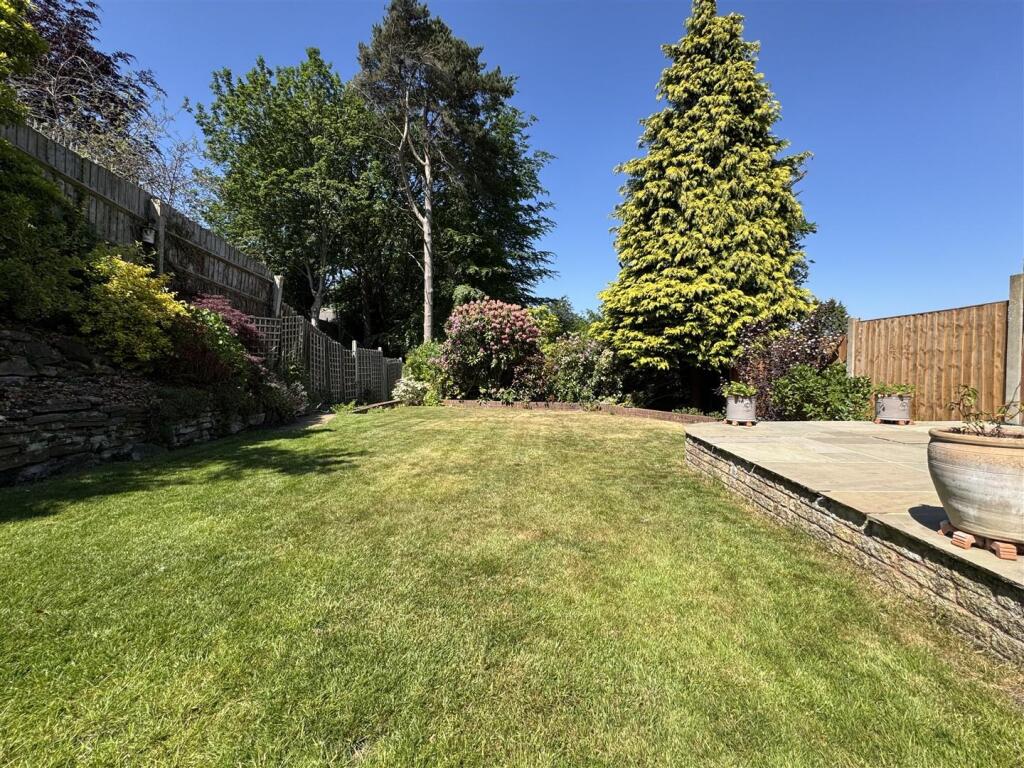 IMG_9502 (Large).JPG