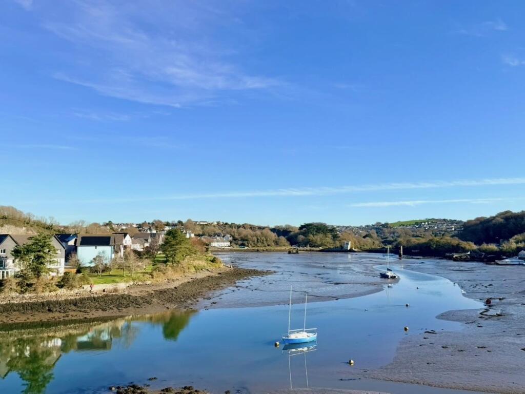 IMG_0986.jpeg