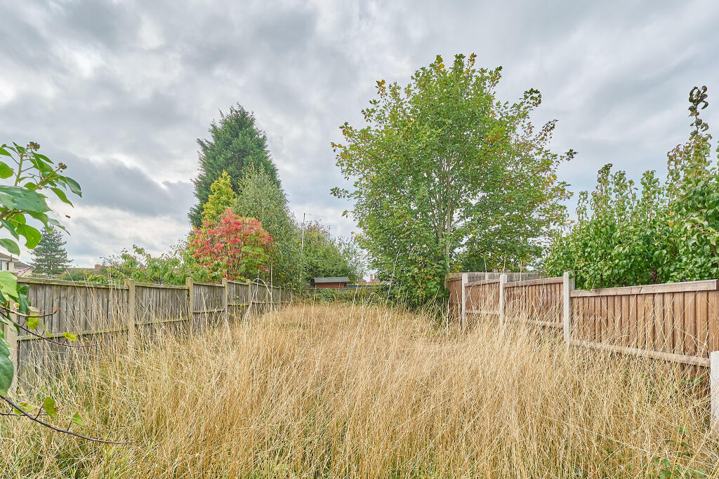 P1608794 T202510011703.jpg