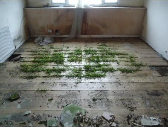 Screenshot 2025-11-07 122653 T202511071607.jpg