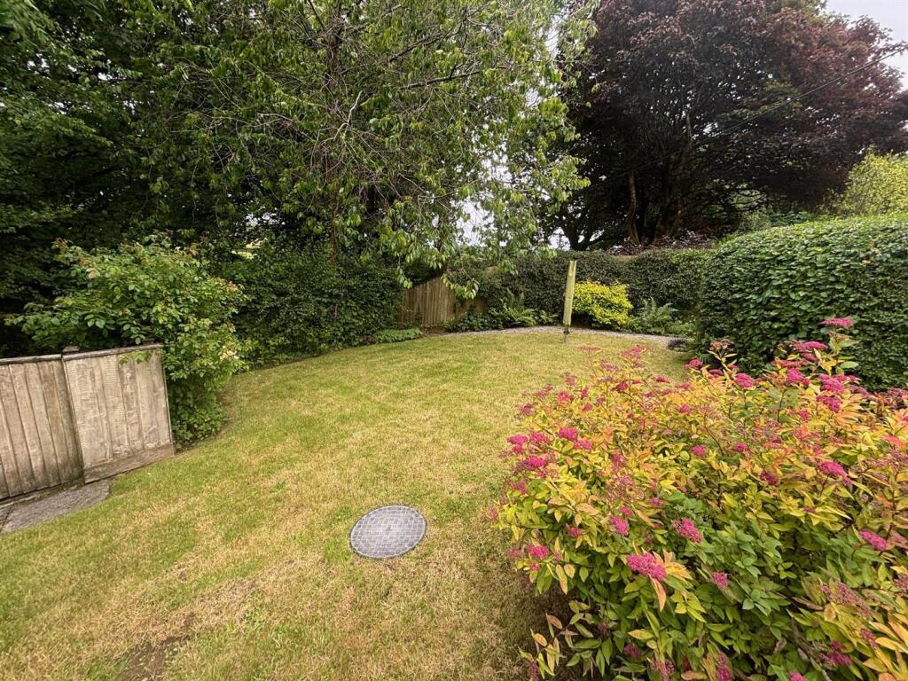 garden 2.jpg