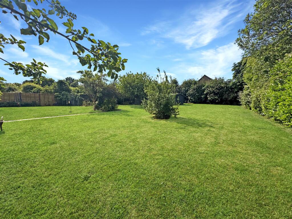 Plot Image