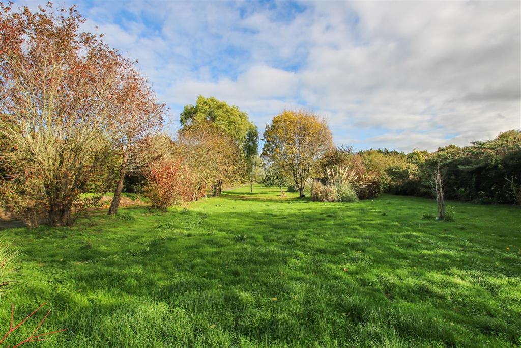 IMG_4942.jpg