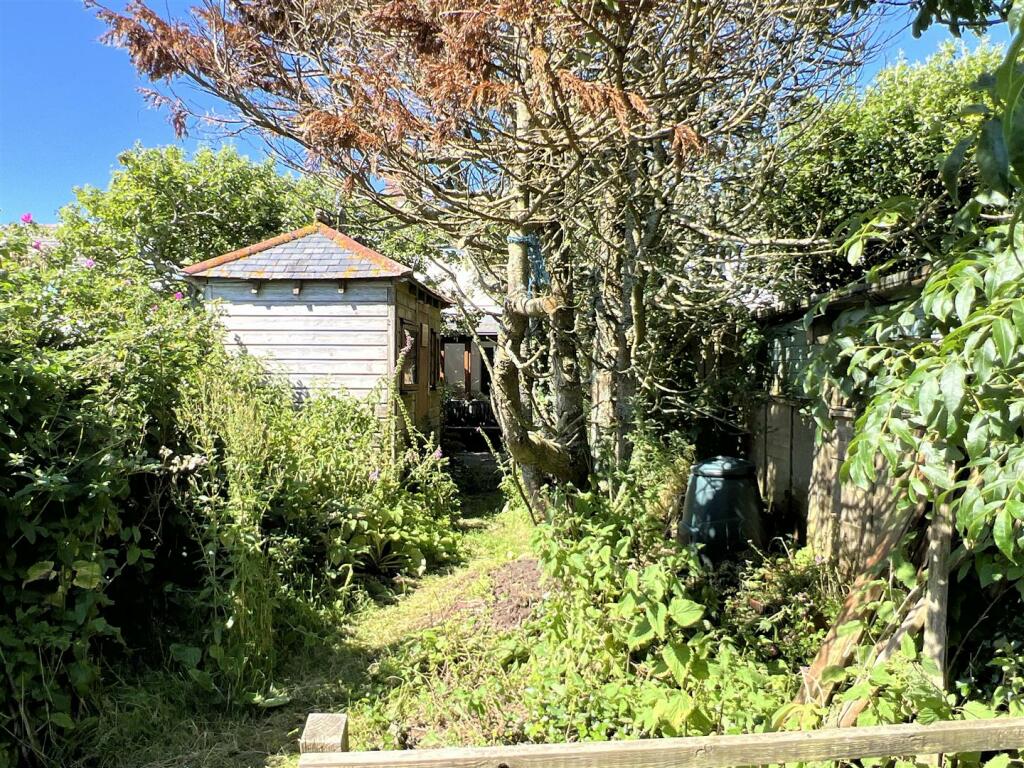 garden 3.jpg