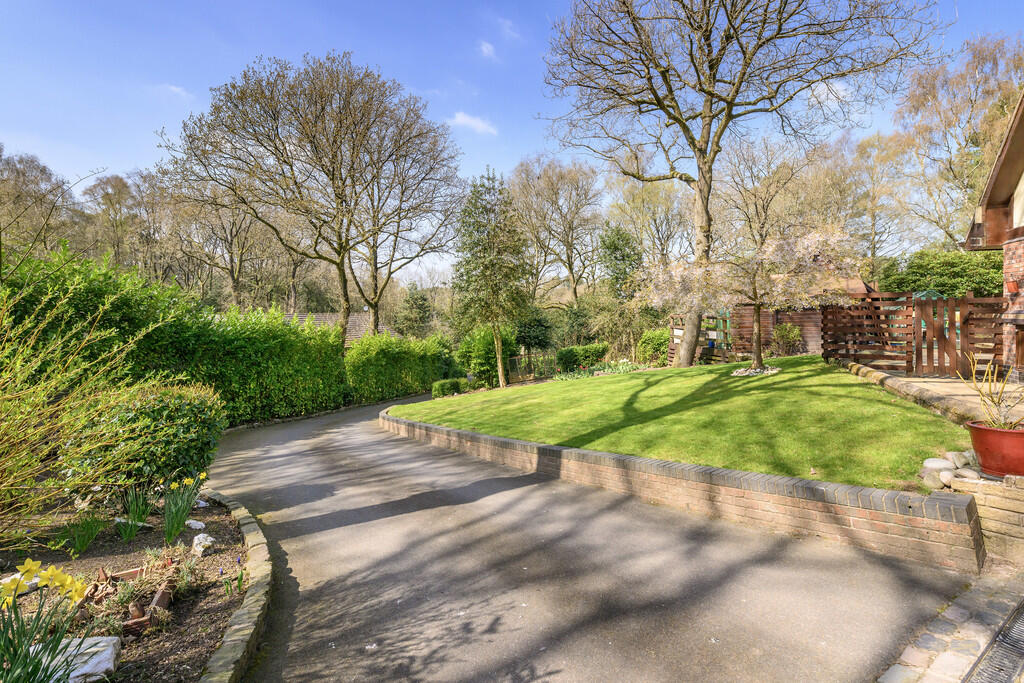 Driveway 1