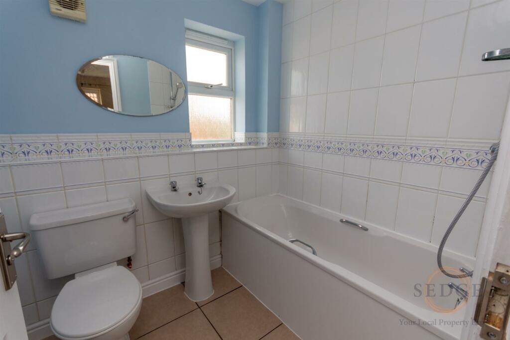 1 swan close-08.jpg