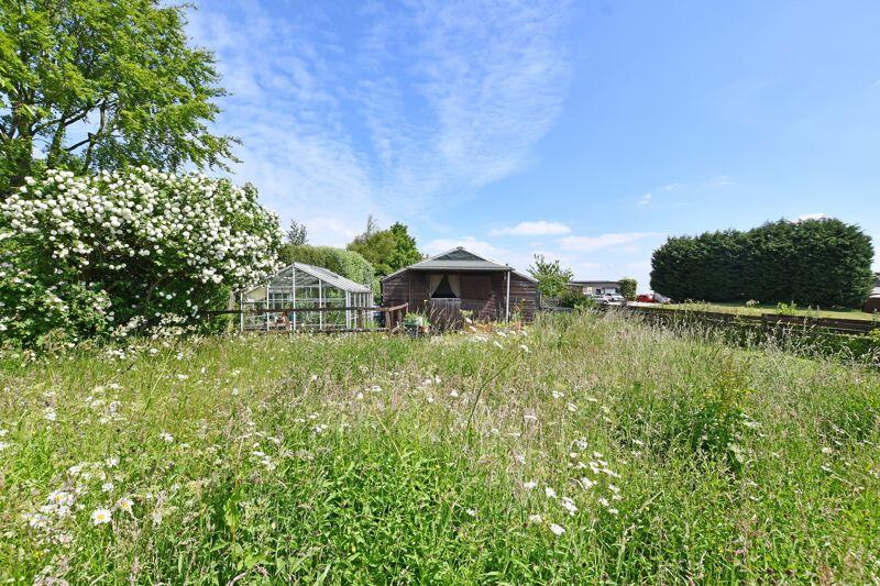 Meadow &amp; Old Stable