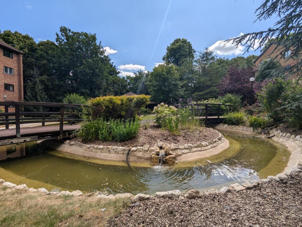 PXL_20240704_095805764