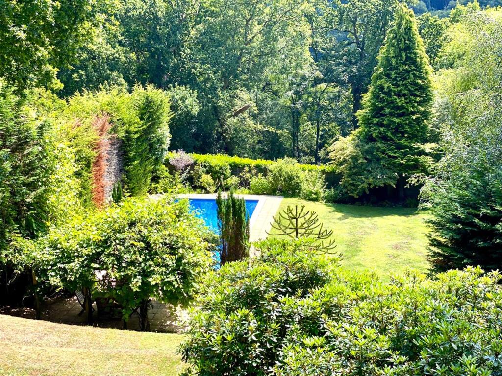 Garden &amp; Pool