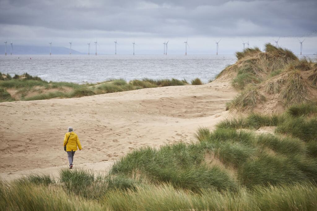 Formby Merseyside, England. PICTURED National trust wood and beach front