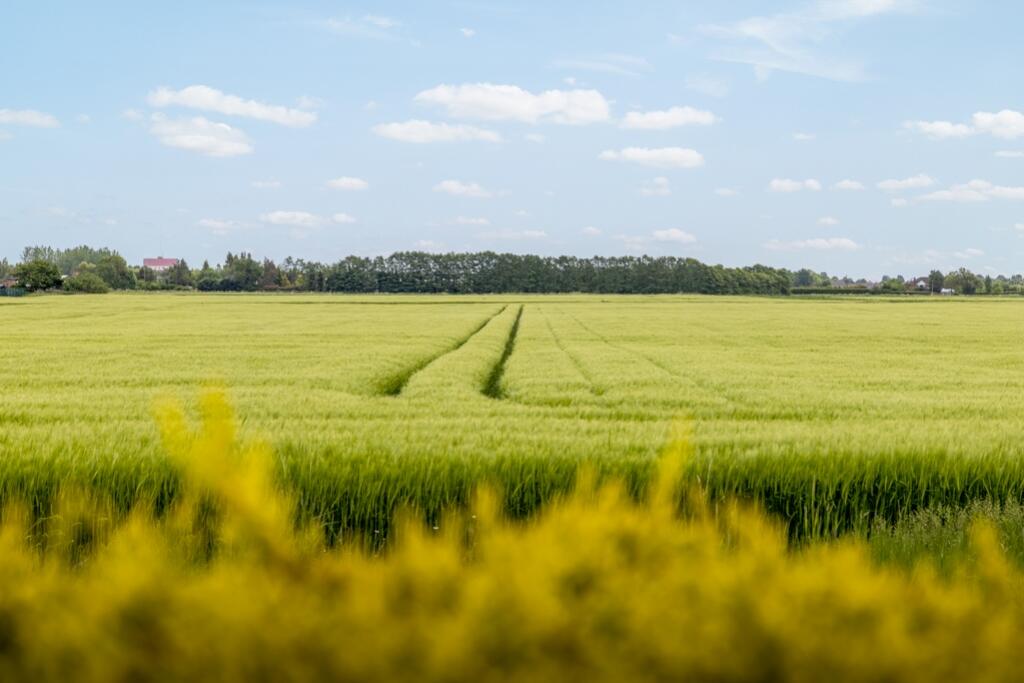 Seasons Watch (Pinchbeck)-18