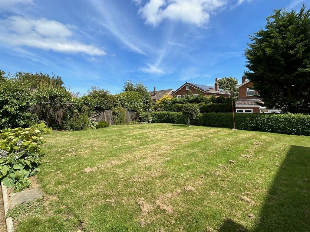 lawn.jpg
