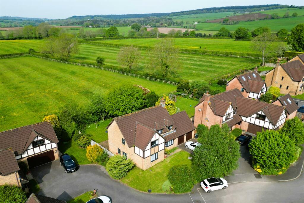 Hollis Morgan Auctions