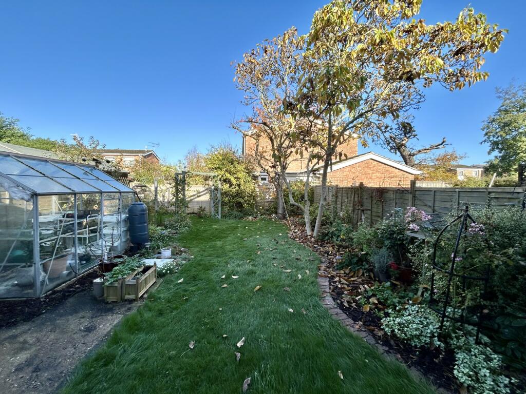 Garden 2