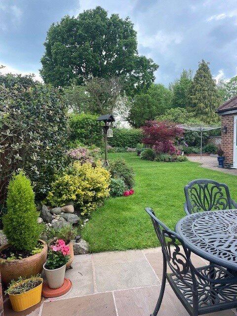 Summer Garden