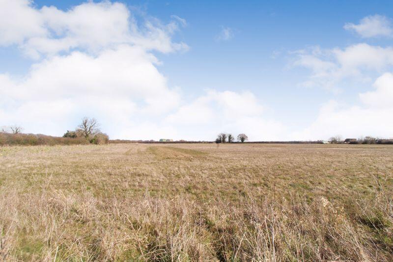 Field Views