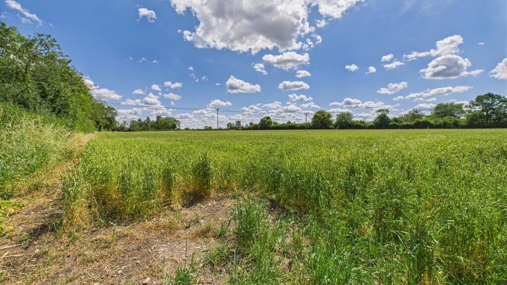 CAM04968G0-PR0056-STILL031