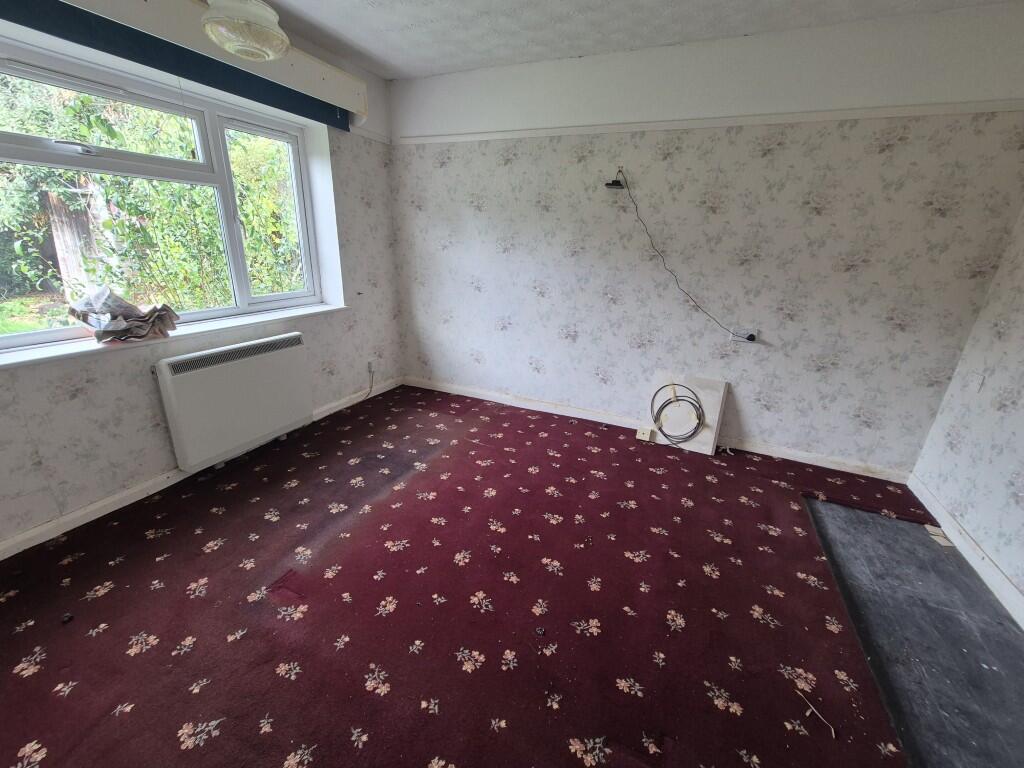 20251106 113725  Medium  T202511111033.jpg