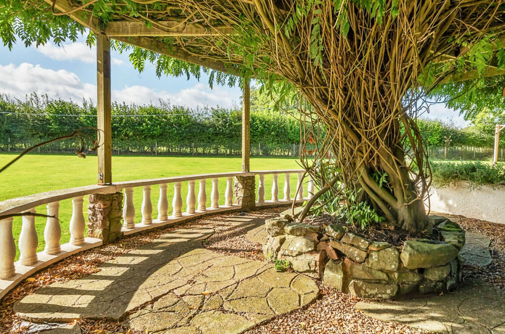 Garden and Wisteria