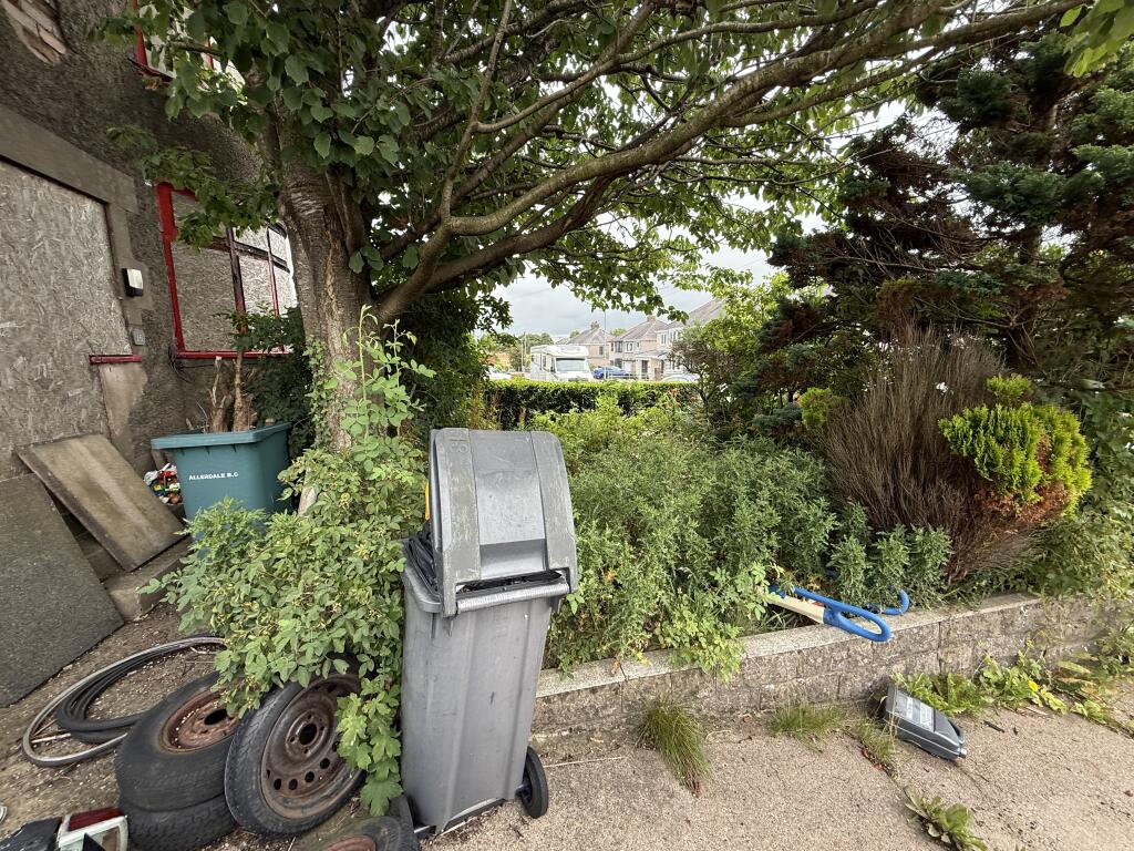 IMG 0892 T202507311106.jpg