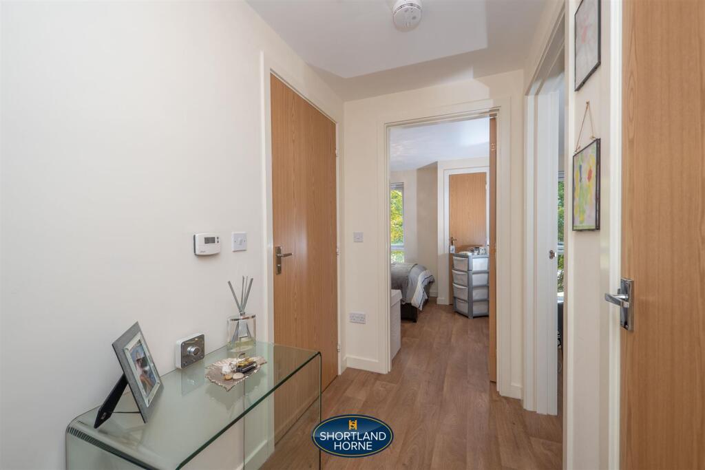 P1118060.jpg