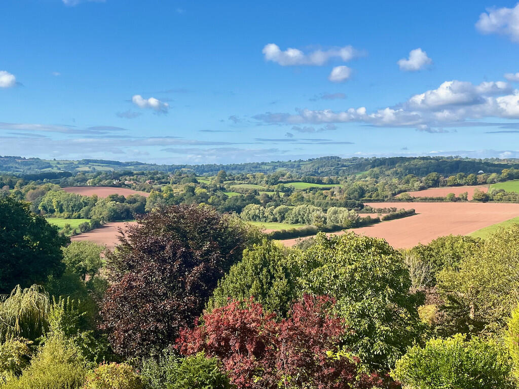 View_from_house_o...