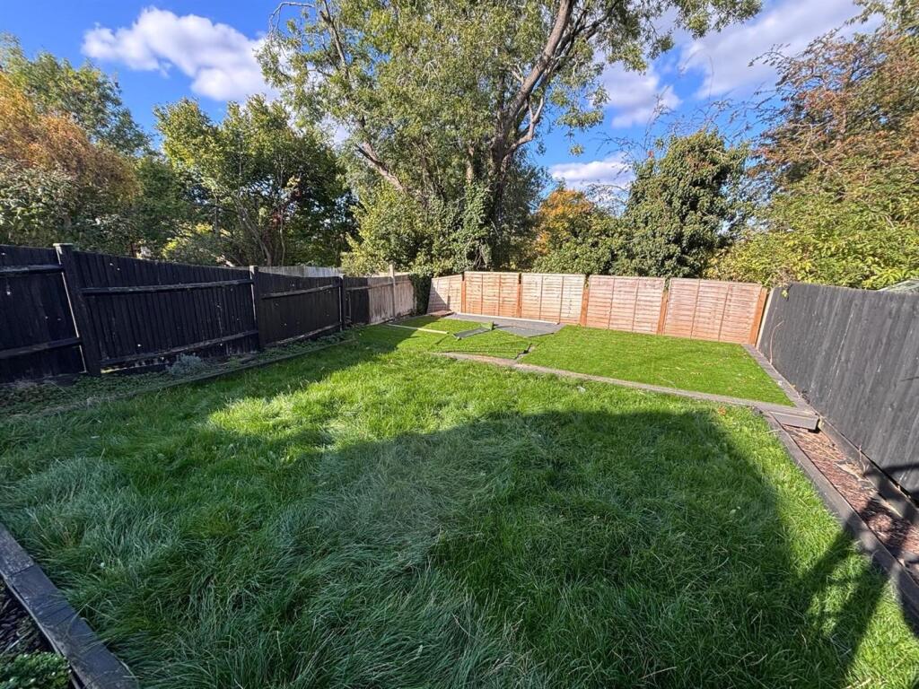 garden 2.jpg