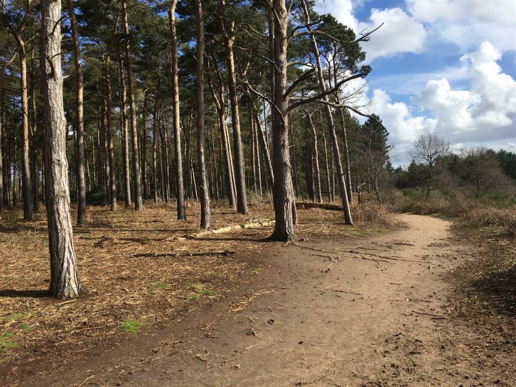 Local countryside walks
