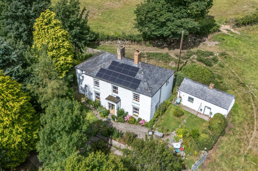 -68931bb8ec725-l-1330667 (3)