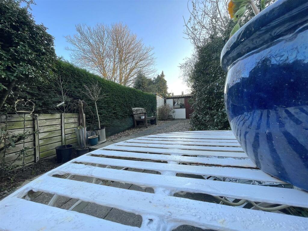 Garden (4).jpeg