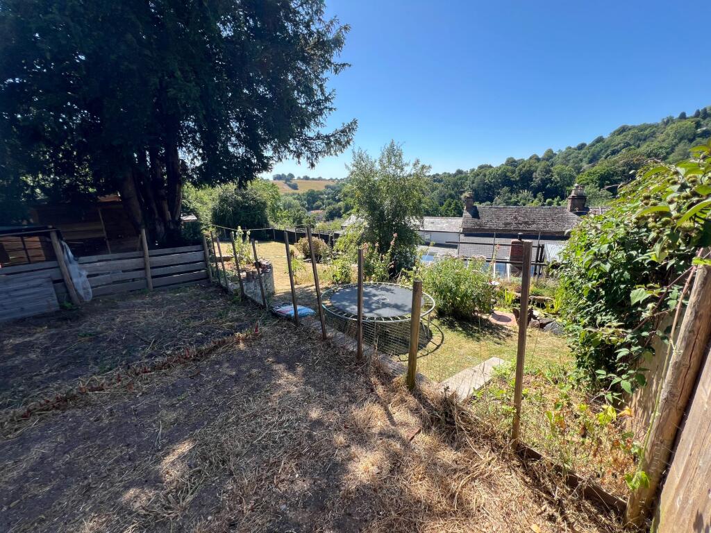 photo taken by the vendor