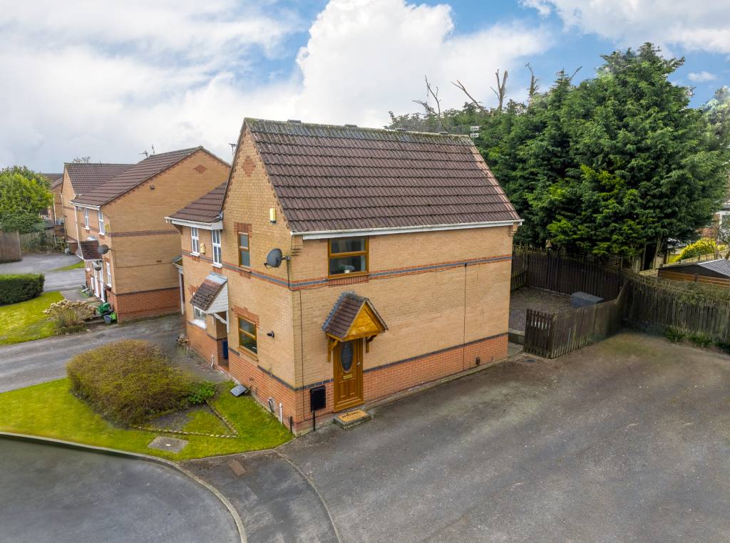 Untitled design (13)