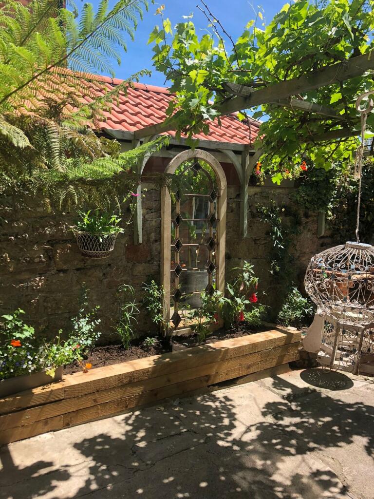 The gardend in the summer