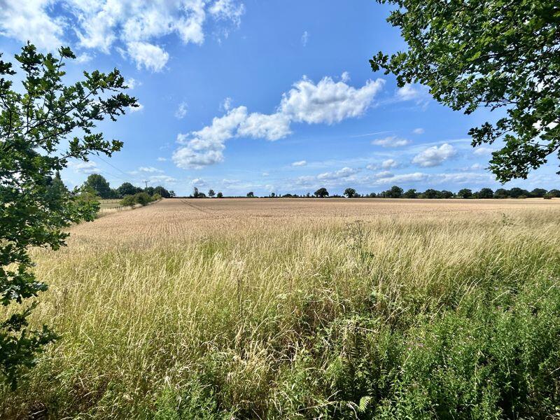 Views over fields to the side