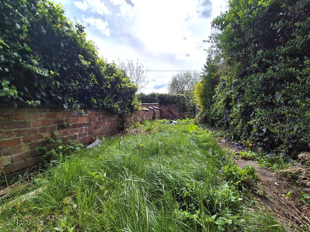 Sunny Rear Garden