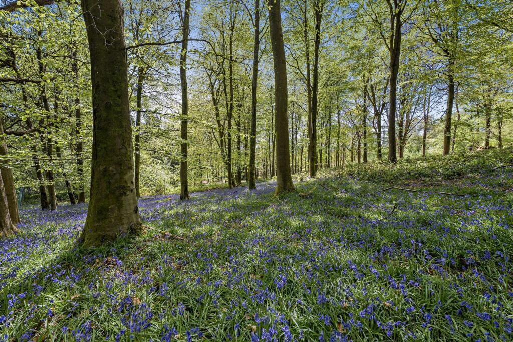 Possingworth Park