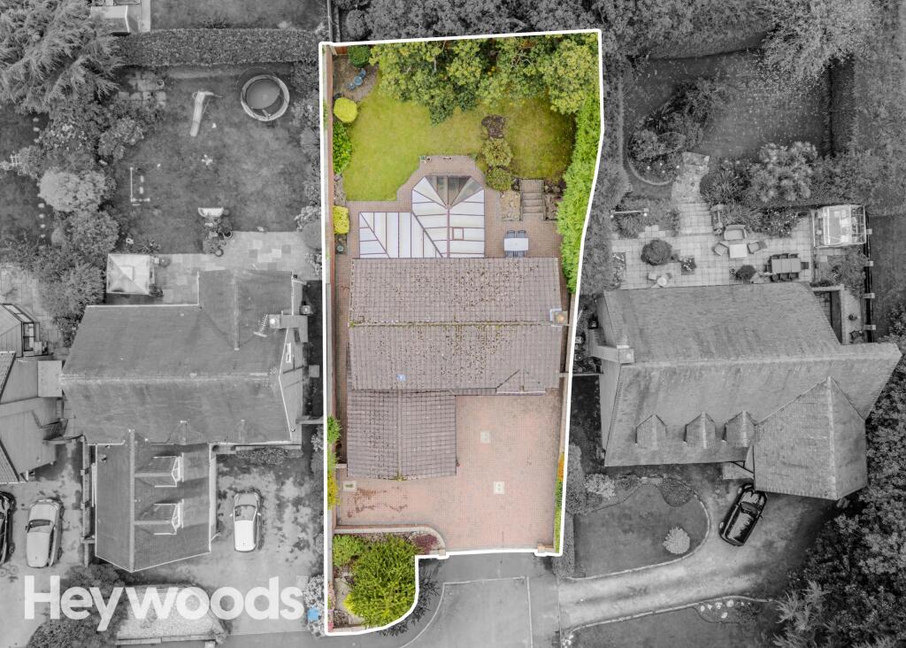 20240924-DJI_0079-Enhanced-SR - Copy
