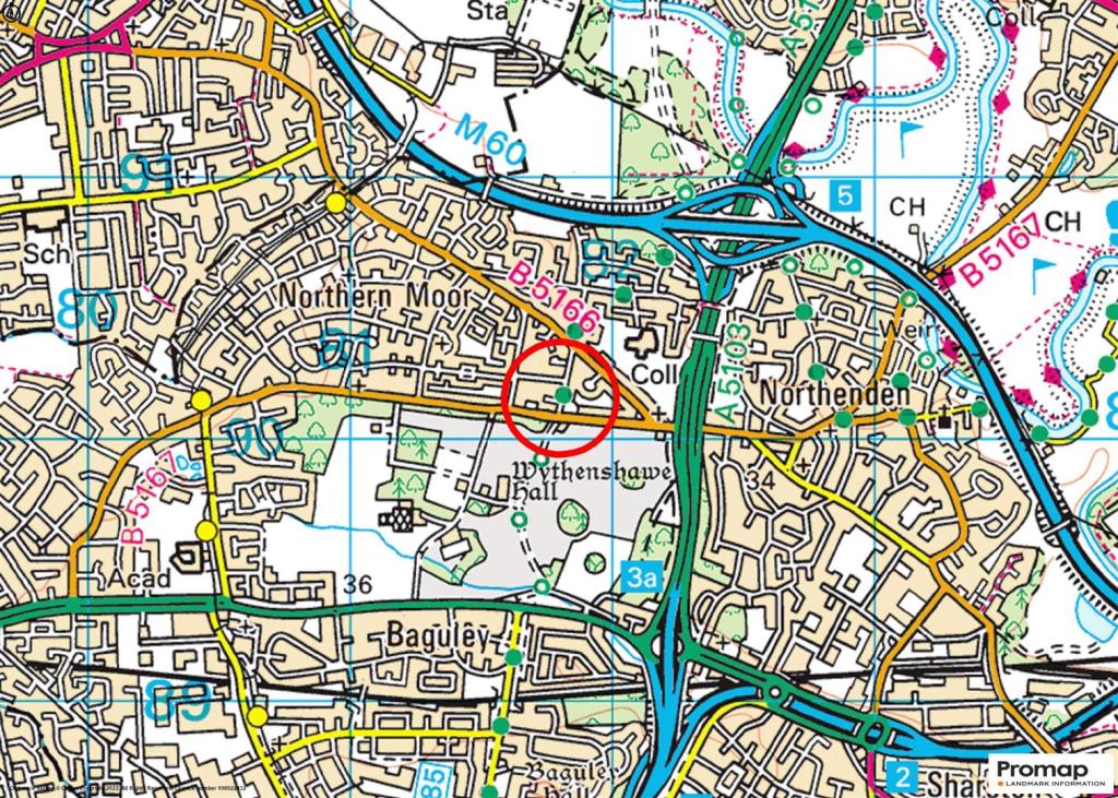 Town Plan
