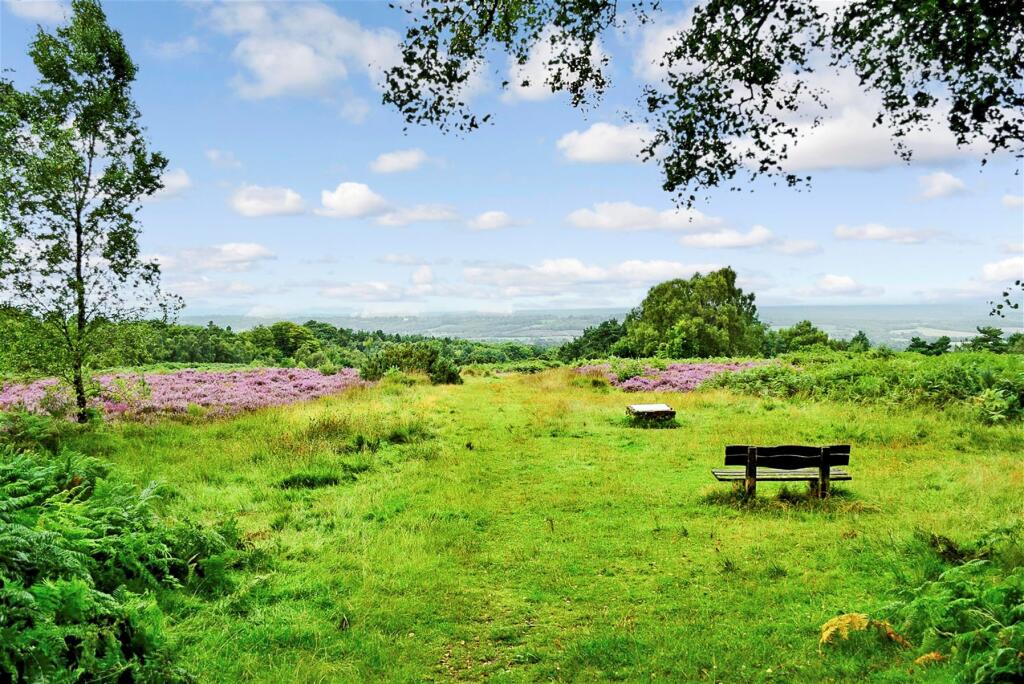 Surrounding Area - Ashdown Forest
