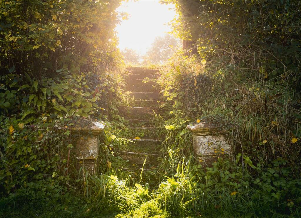 W5.jpg
