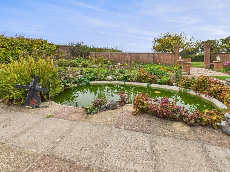 Pond