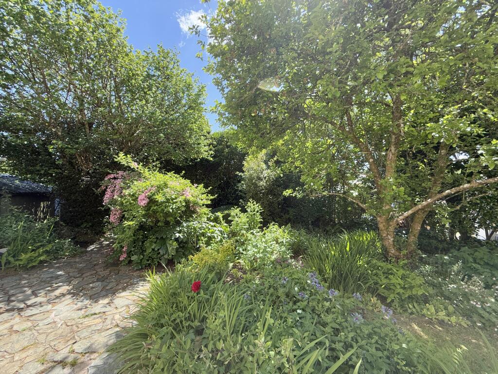 Mature Trees and Shrubs