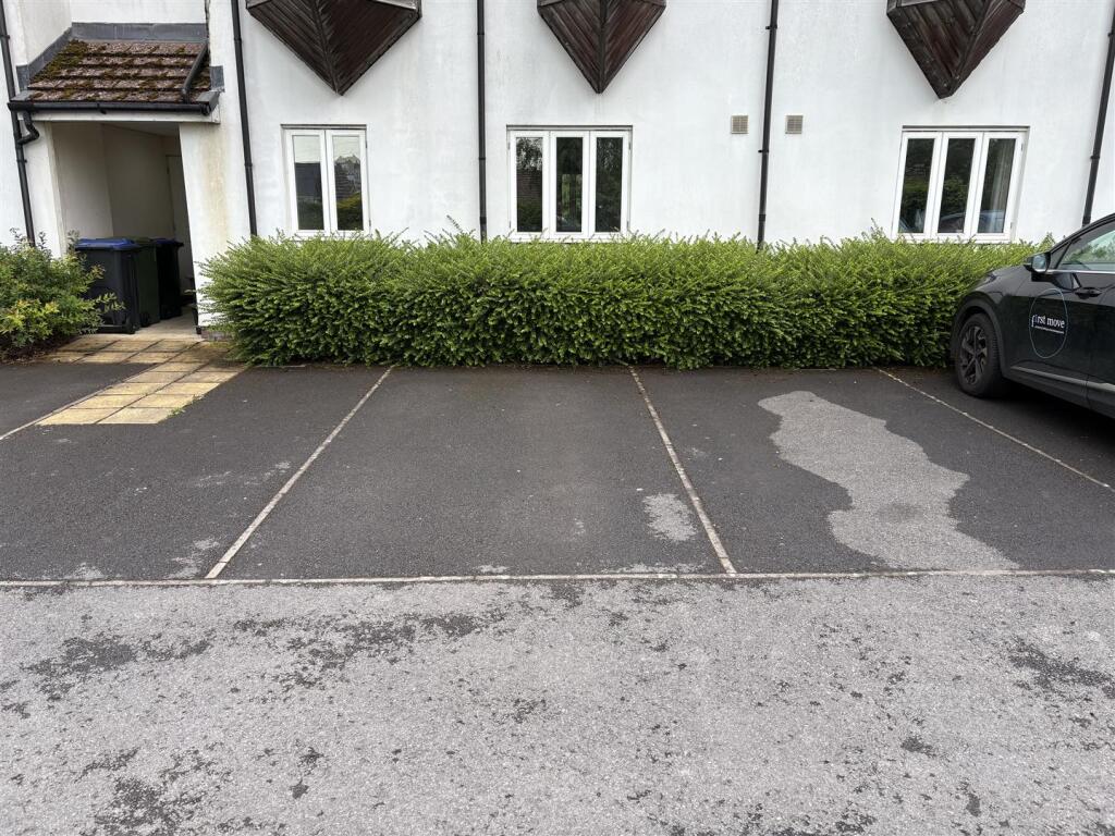 IMG_0413.jpg
