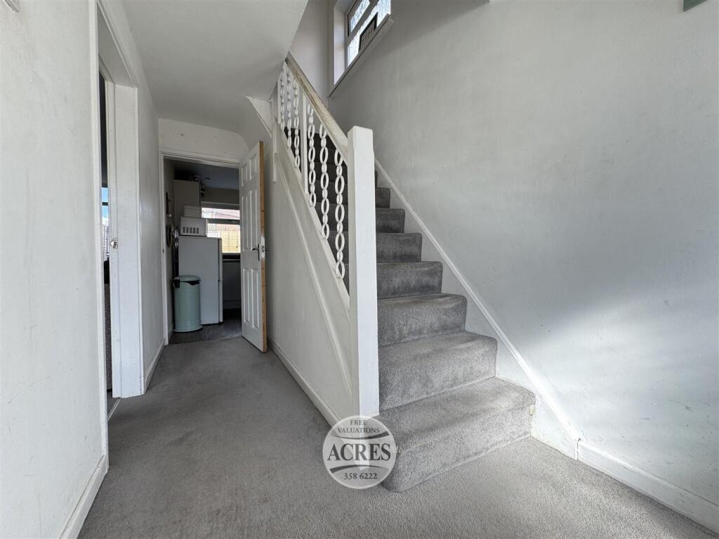 IMG_8272 (Large).jpg